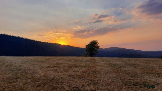 naselje Račanska šljivovica na Tari