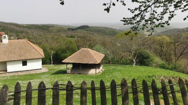 rodna kuća Stepe Stepanovića Beograd