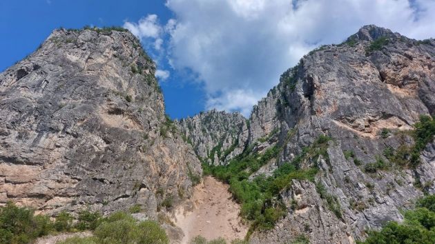 Vlaška planina kod Pirota