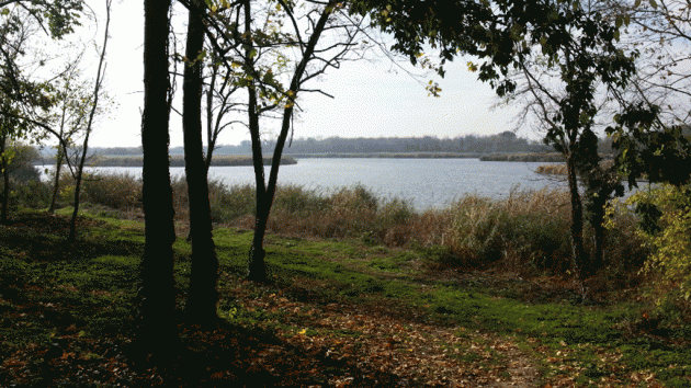 Zobnatičko jezero